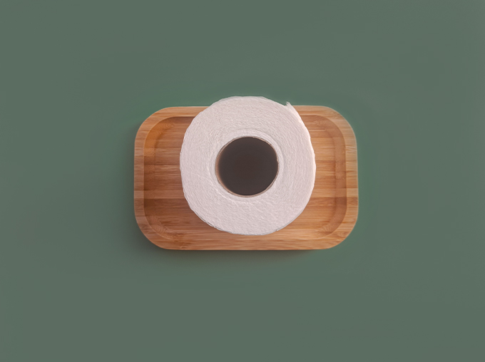 Bulk Customized 2 Ply Toilet Paper Roll - CleanSoft Paper