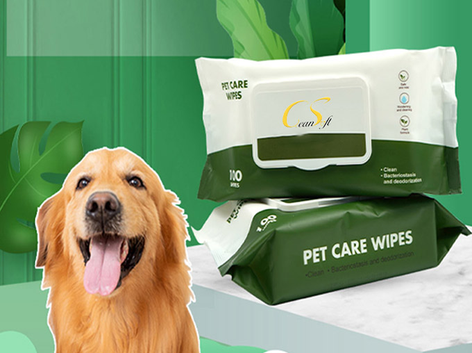 dog wet wipes