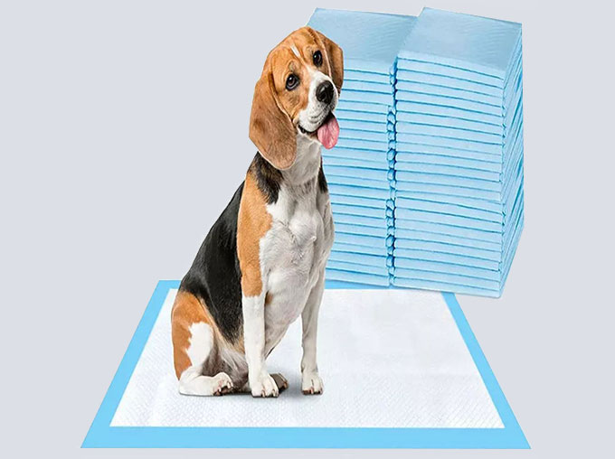 puppy pads with a dog on it