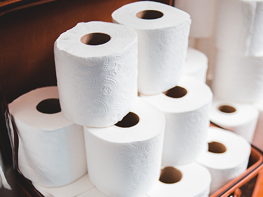 Who Invented The Toilet Paper?