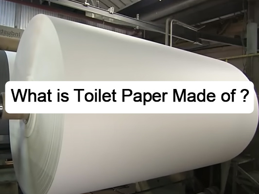 What is Toilet Paper Made of? How is Toilet Paper Made?